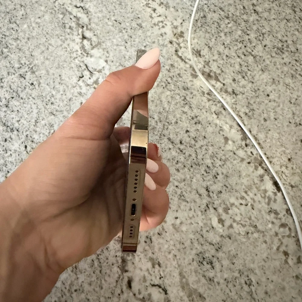 Apple iPhone 14 Pro Max in Gold